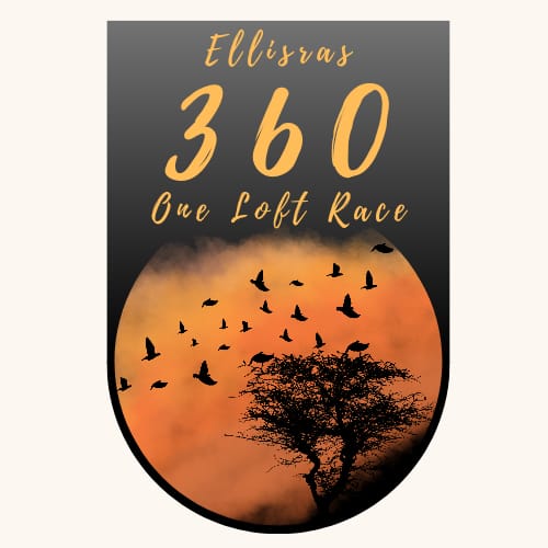 Ellisras 360